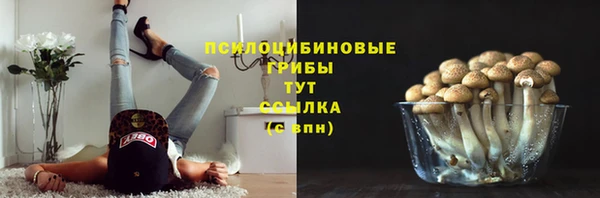 прущие грибы Зеленодольск