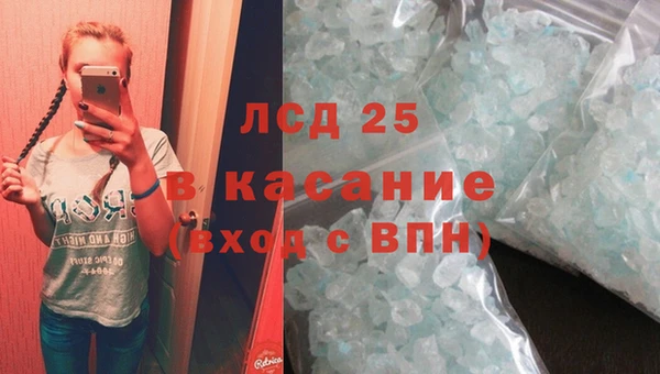 прущие грибы Зеленодольск